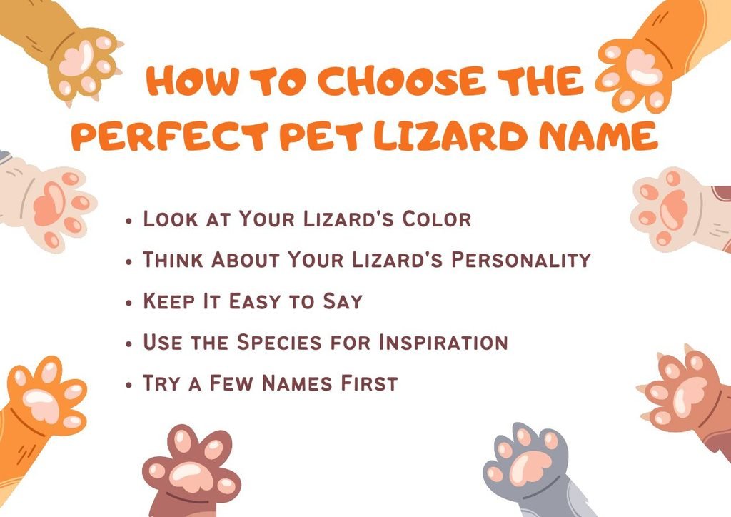 How to Choose the Perfect Pet Lizard Name