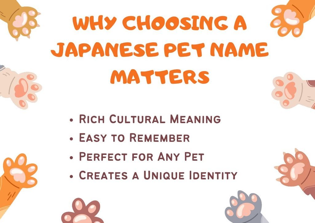 Why Choosing a Japanese Pet Name Matters