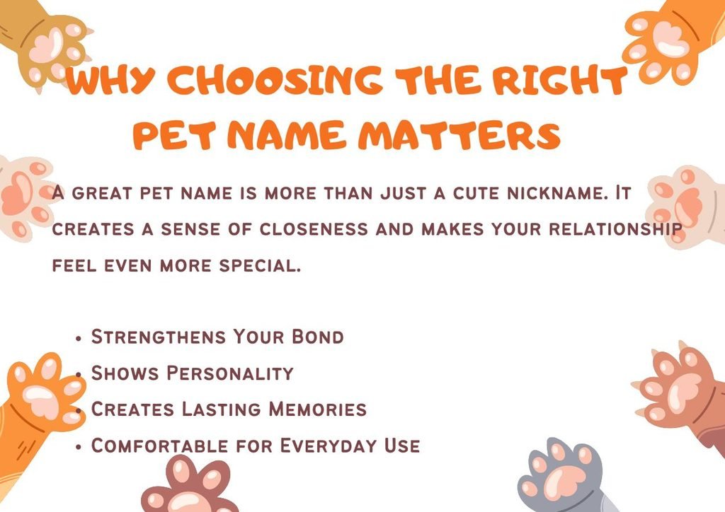 Why Choosing the Right Pet Name Matters