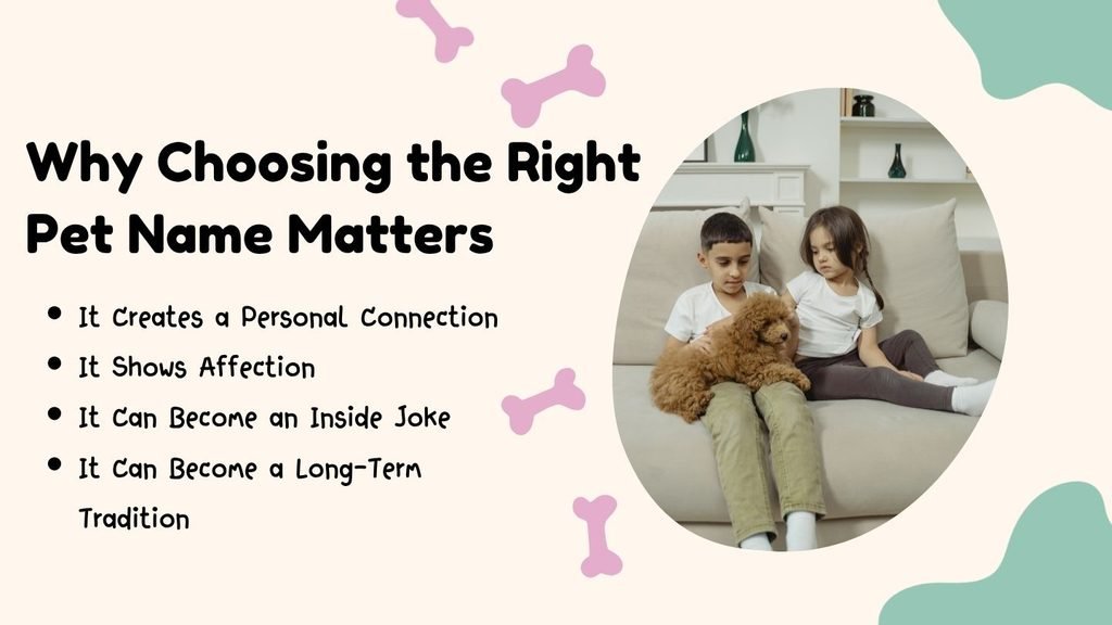 Why Choosing the Right Pet Name Matters
