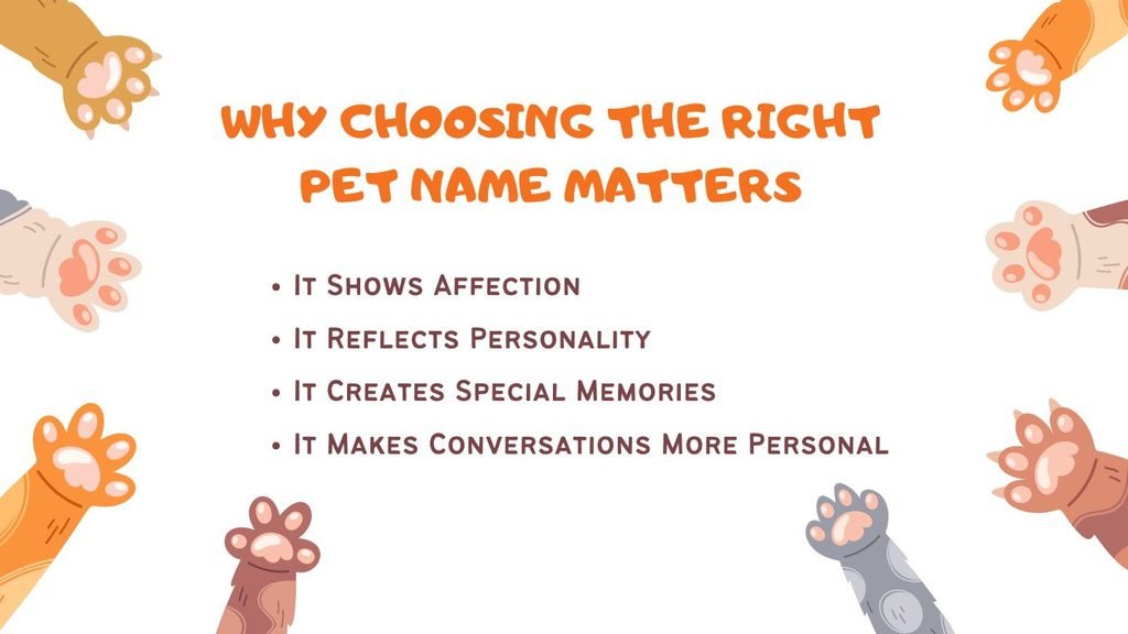 Why Choosing the Right Pet Name Matters