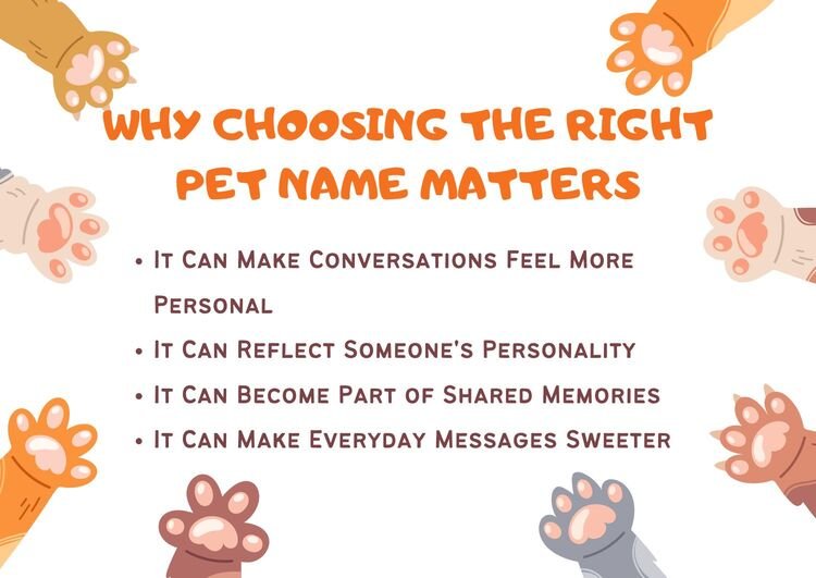 Why Choosing the Right Pet Name Matters