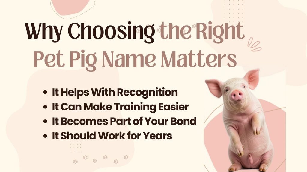 Why Choosing the Right Pet Pig Name Matters