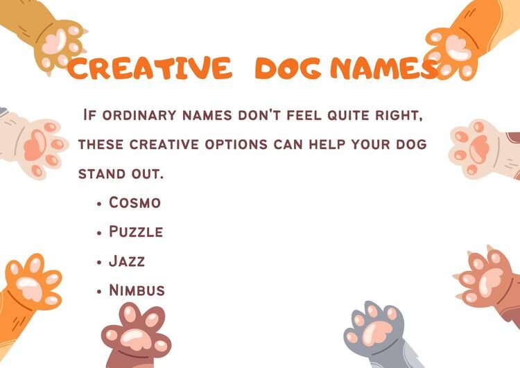 Creative Dog Names