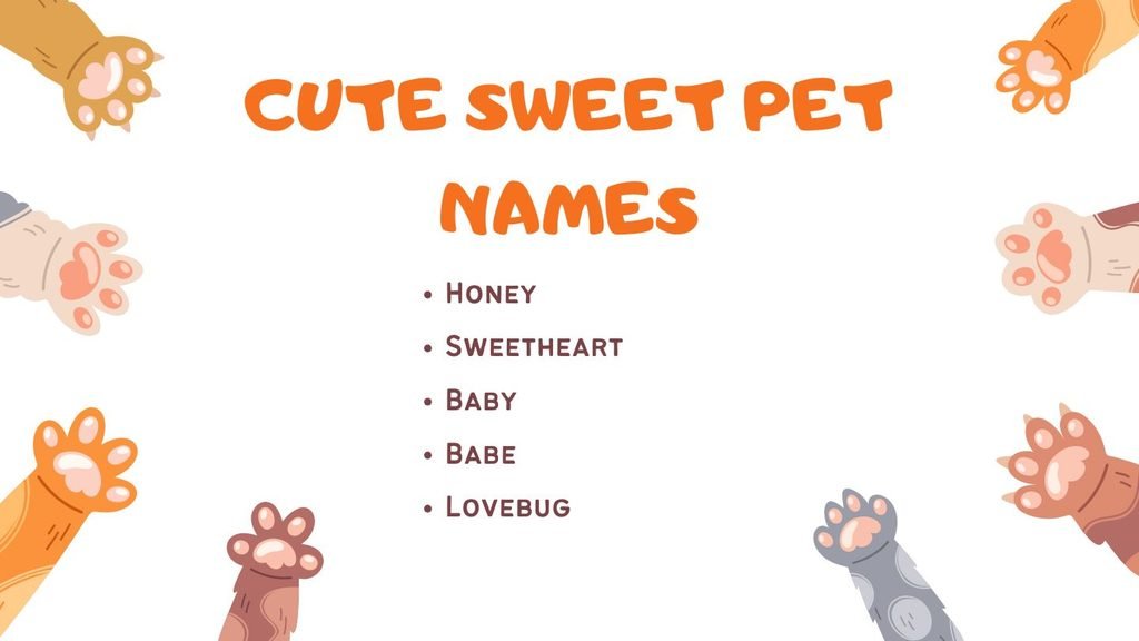 Cute Sweet Pet Names