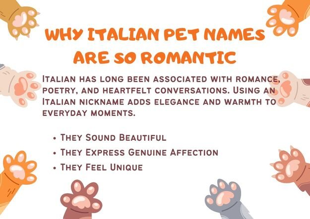 Why Italian Pet Names Are So Romantic