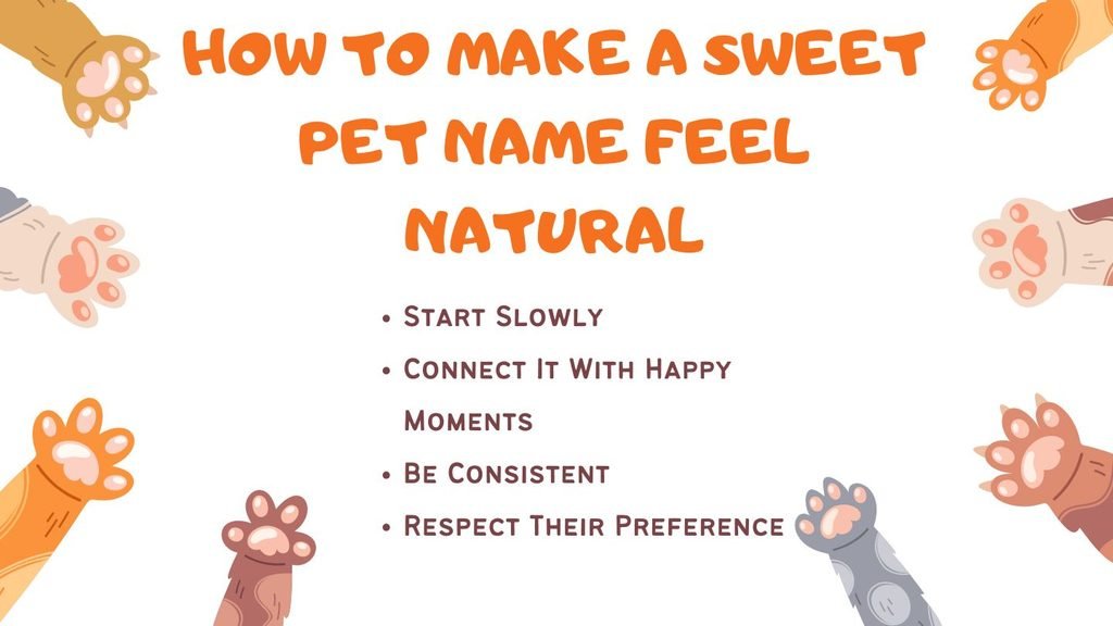 How to Make a Sweet Pet Name Feel Natural