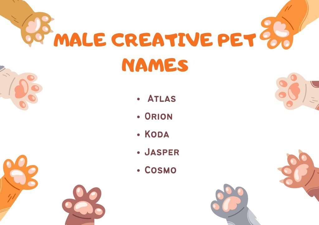 Male Creative Pet Names