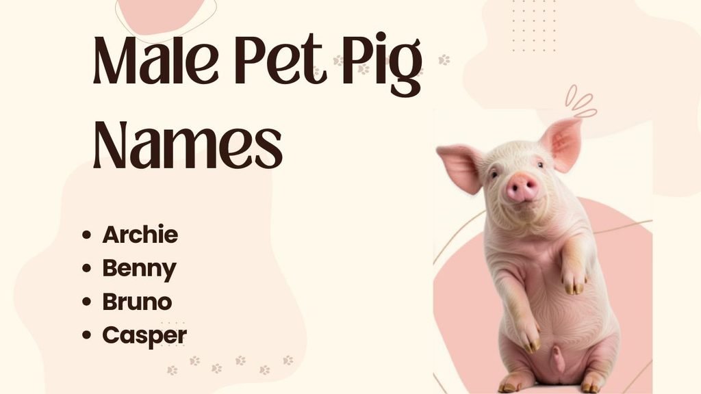 Male Pet Pig Names