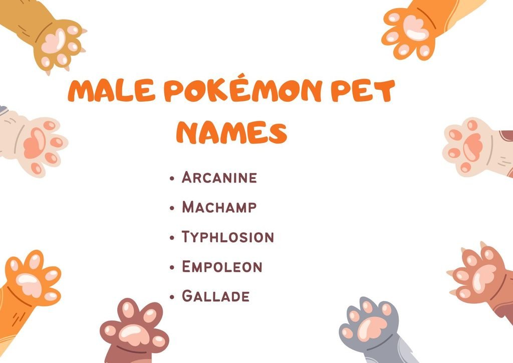 Male Pokémon Pet Names