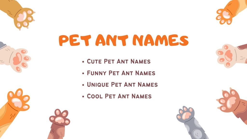 Pet Ant Names