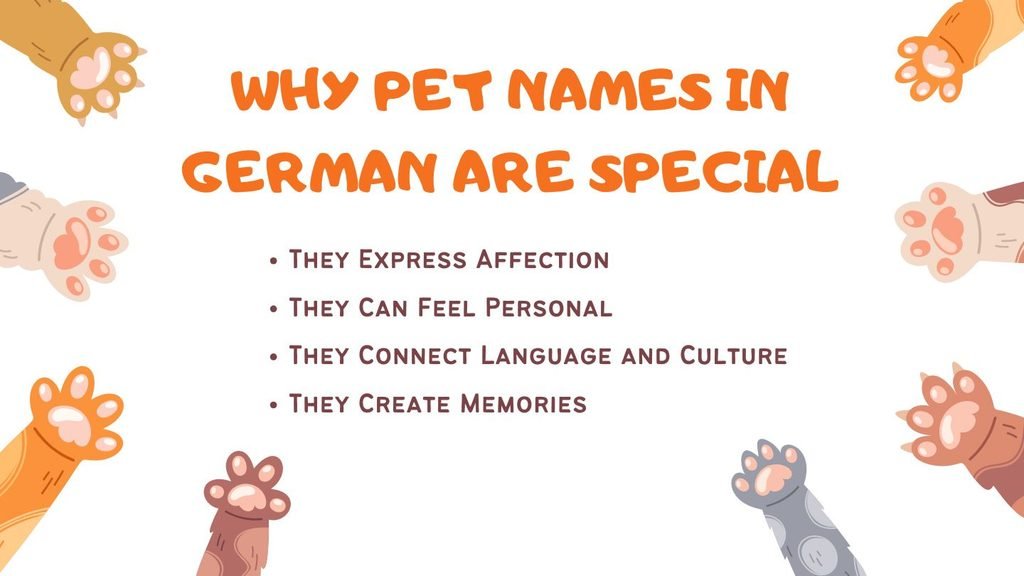 Why Pet Names in German Are Special