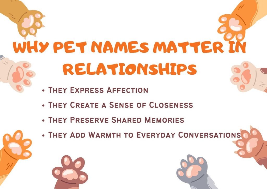 Why Pet Names Matter in Relationships