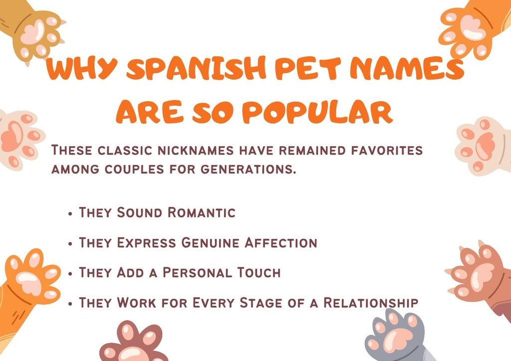 Why Spanish Pet Names Are So Popular