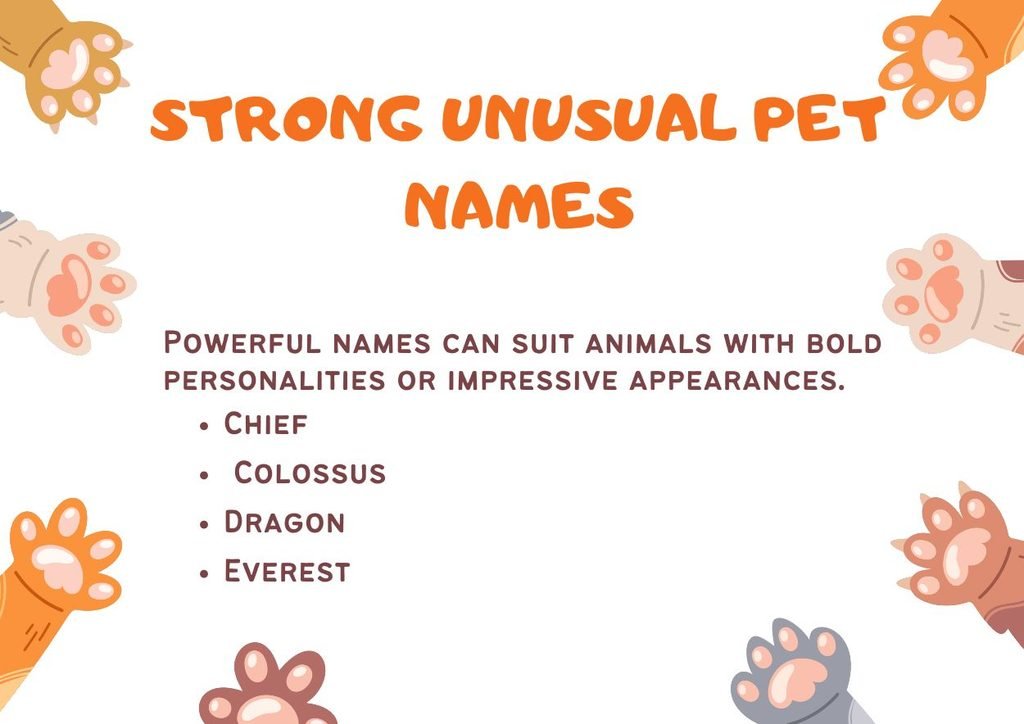 Strong Unusual Pet Names