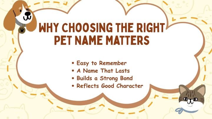 Why Choosing the Right Pet Name Matters