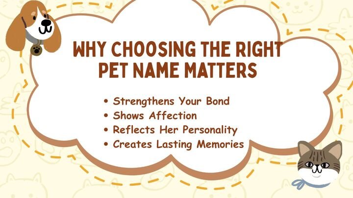 Why Choosing the Right Pet Name Matters