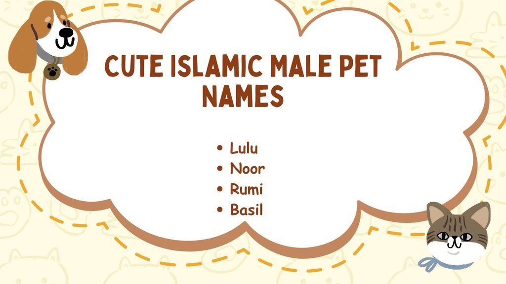 Cute Islamic Male Pet Names
