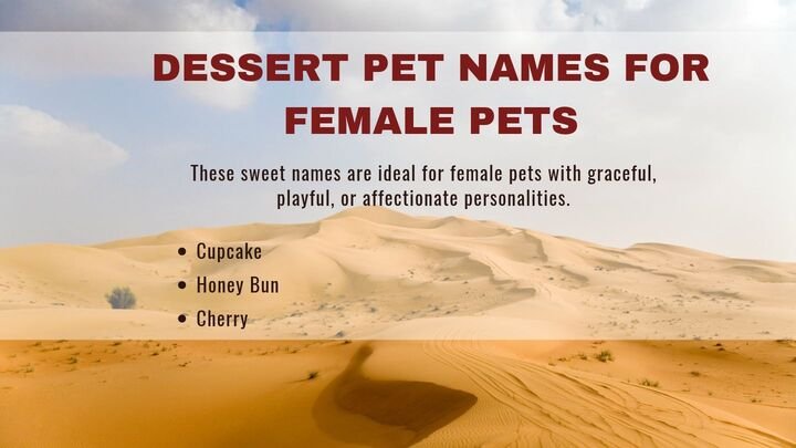 Dessert Pet Names for Female Pets