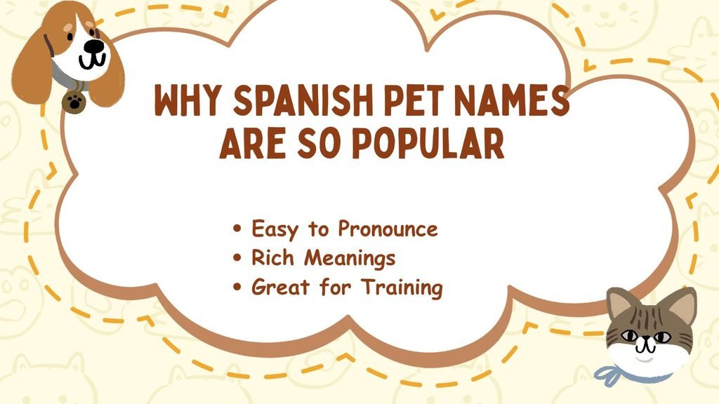 Why Spanish Pet Names Are So Popular