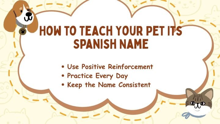 How to Teach Your Pet Its Spanish Name