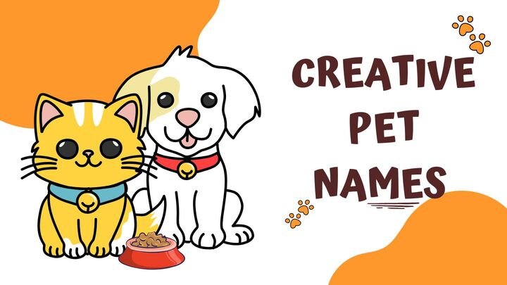 120+ Creative Pet Names | Unique Ideas