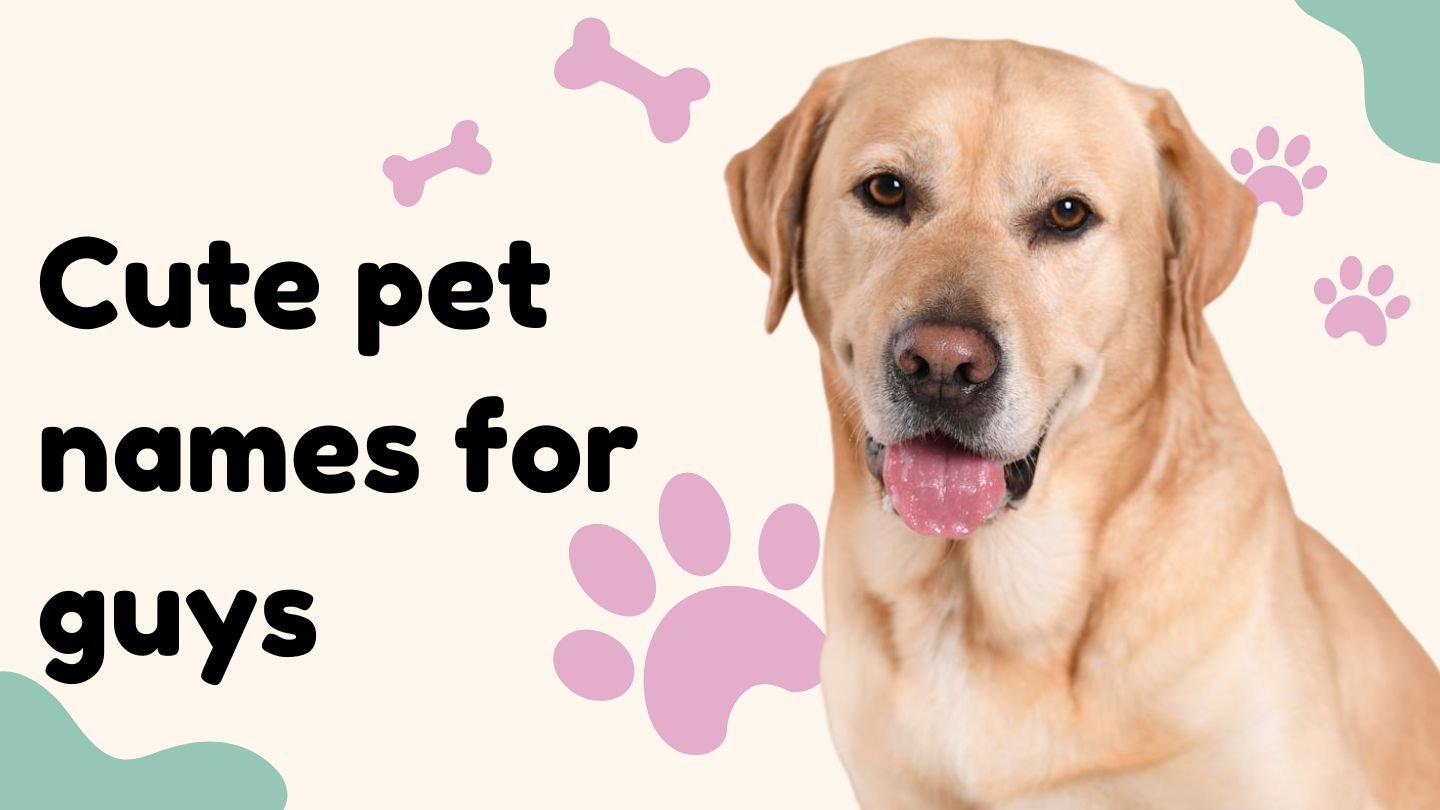 150+ Cute Pet Names for Guys | Adorable Nicknames