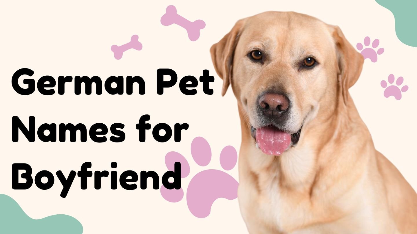 German Pet Names for Boyfriend