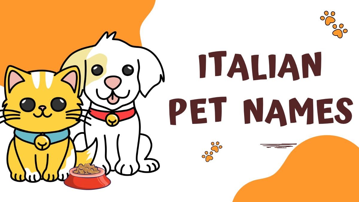 250+  Italian Pet Names for Girlfriend | Cute Ideas