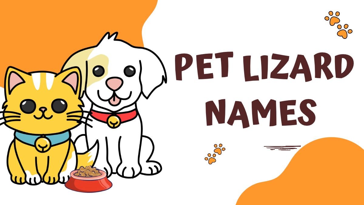 250+ Pet Lizard Names | Cute, Cool, Funny & Unique Names