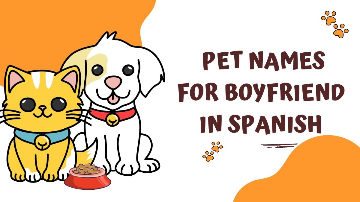 Pet Names for Boyfriend in Spanish | Cute, Romantic Nicknames