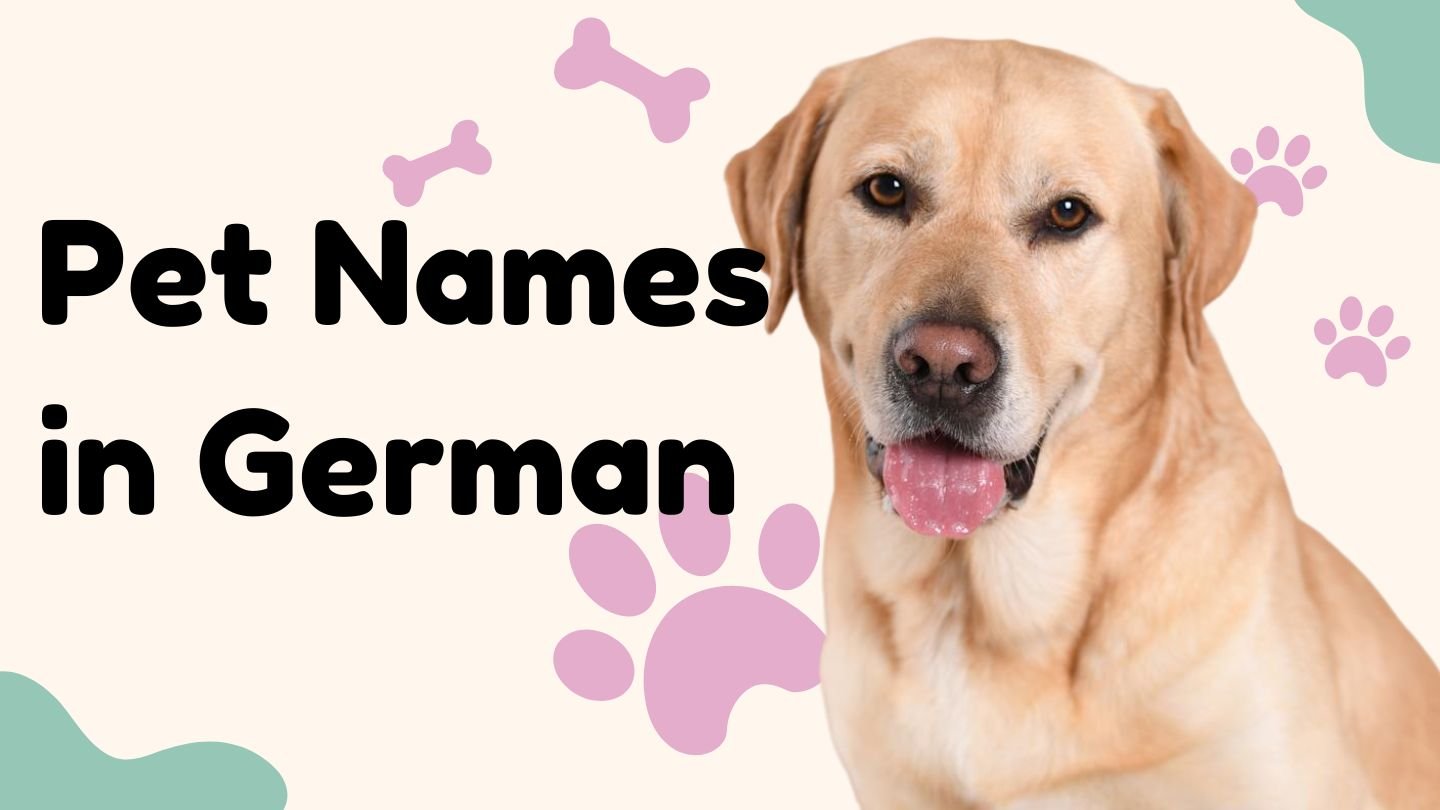 160+ Pet Names in German | Cute & Unique Nicknames