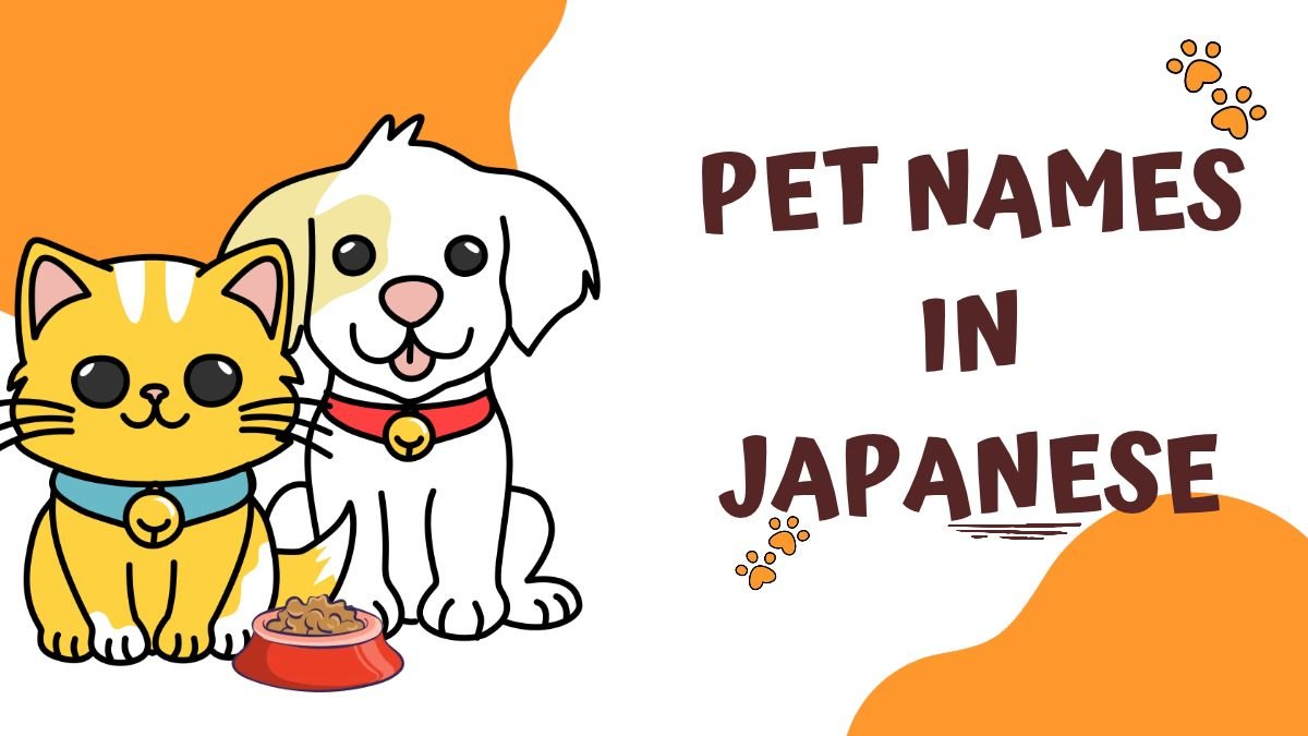 250+ Pet Names in Japanese | Cute, Unique & Meaningful