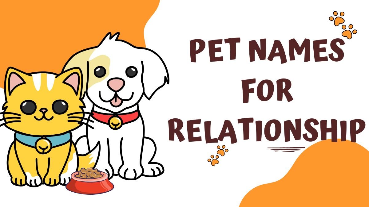250+  Pet Names for Relationships | Cute Ideas