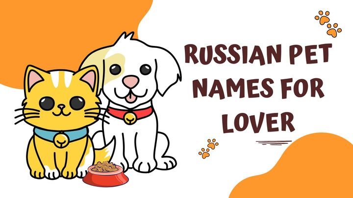 120+ Russian Pet Names for Lover | Romantic Nicknames