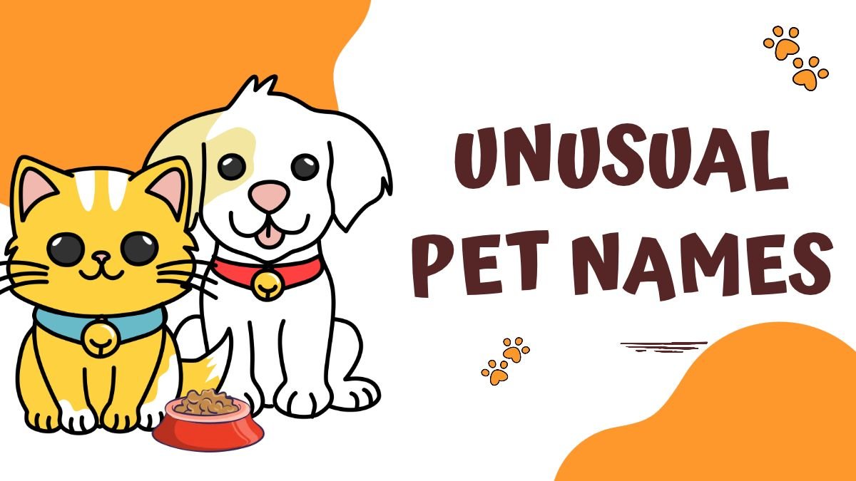 260+  Unusual Pet Names |  Cute, Funny & Unique Ideas