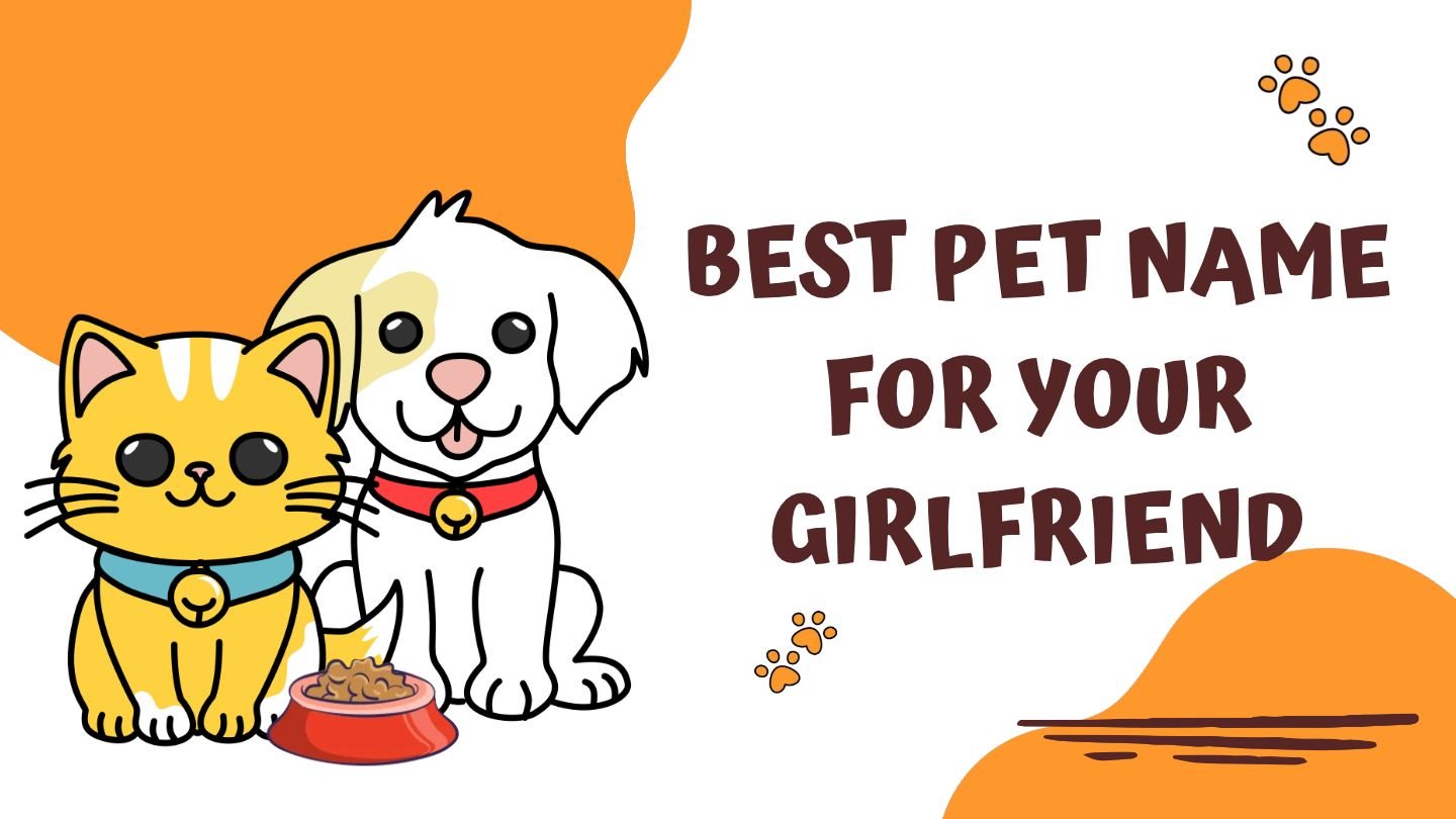 250+ Best Pet Names for Your Girlfriend | Cute Nicknames