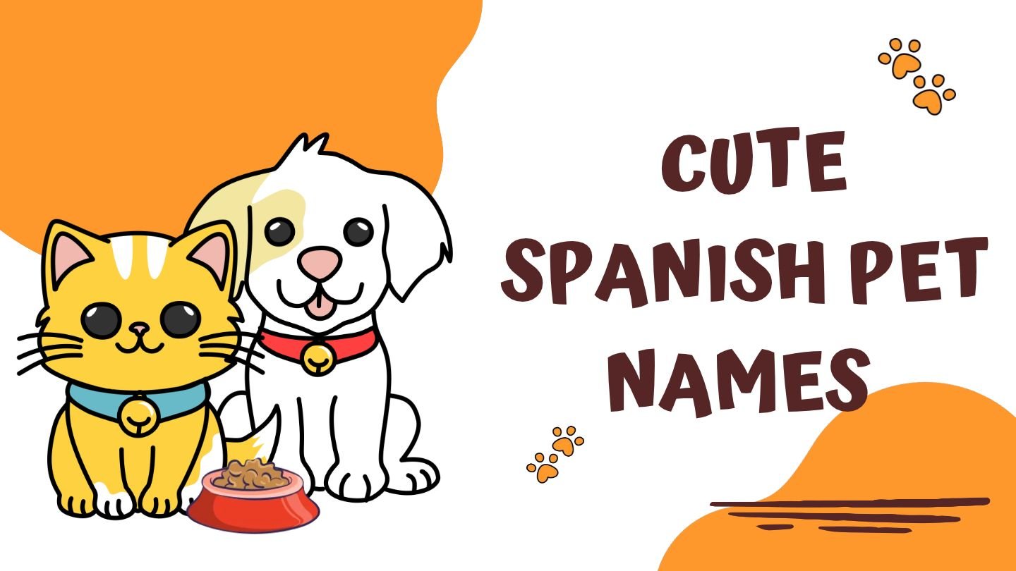 200+ Cute Spanish Pet Names | Adorable & Unique for Every Pet