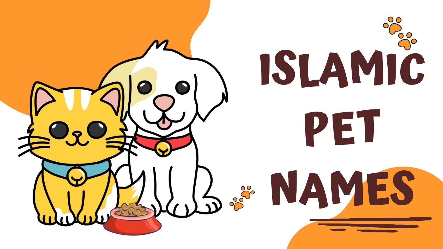 250+ Islamic Pet Names | Beautiful, Meaningful and Names for Pet