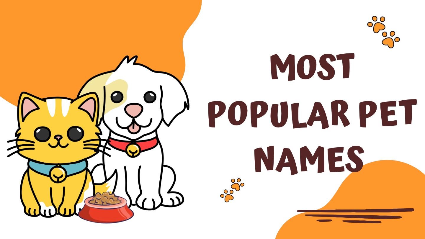 250+ Most Popular Pet Names | Cute, Unique for Every Pet